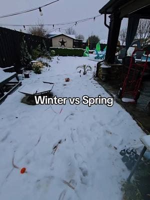 67 days till Spring but only 7 days till tiktok is ban 😠 #wintervsspring #wintervibes #springvibes #backyardvibes #tiktokban #gutierrezparadise 