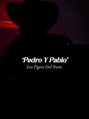 Pedro Y Pablo 😞💔 #lostigresdelnorte #pedroypablo #corridos #norteñas #regionalmexicano #lyrics #foryoupage #fyp #CasaTikTok 