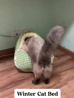 www.kzlaa.com, all cats  staff, cat trees, cat house, cat bed, cat toys, etc. 🌏🔗shipping worldwide#kzlaa #cats_of_world #catlover #cats #foryou #catsofinstagram #catbed #cathouse #catbaby #furbaby #furball #ferret 