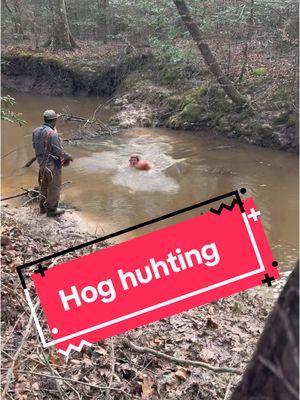 3.5 boys did good this morning hog hunt 🔥💪🏾 #arkansas #fypシ゚viral #deepinthewoods #keepitreal #hoghuntingwithdogs #followme #2025 #🐗🐕🗡️ #highwaters #hogdogsoftiktok #theamericandream @Slowmotionjojo @Taylor Orrell @whiskey @Maurice Carrington 