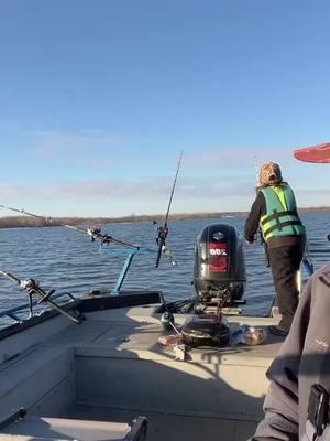 1 anchor a bunch of fish and a good meal! 🌭 #grandlakeoklahoma #bzguideservice #Outdoors #fishing #catfishing #seaarkboats #usa🇺🇸 #fyp #oklahoma #onem @Meat Hunter Rods @SeaArk Boats @Smackdown Rod Holders @FISHING AL GA LINE 