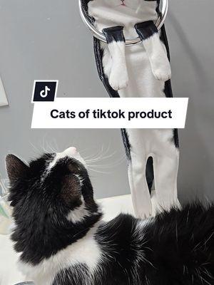 Are you a proud cat parent?🐈‍⬛ Let's me show you my most recent purchase.  I am OBSESSED with my cat child and I thought this would be agreat addition. #tiktokpartner #CasaTikTok #household #catsoftiktok #catobsessed #animallover #bathroom #kitchen #decor 