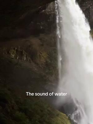 📍 Silver Falls, OR The sound of water at Silver Falls State Park.  #creatorsearchinsights #silverfalls #silverfallsstatepark #waterfall #soundofwater 