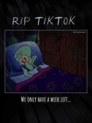 We had a good run, guys… #CapCut #fyp #rip #riptiktok #2025 #theendishere #squidward #foryoupage @Cat @waffle 🧇 @thepeaceinthebackrooms @randomlylegend @2nd NuTTy_Rickrolled @shaunhouchins @Gellir @zoldyck @God's damnation @Rocky 