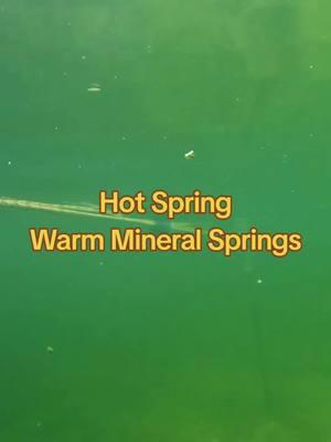 #warmmineralsprings #floridasprings #springs #snorkel #relax #hotspring 