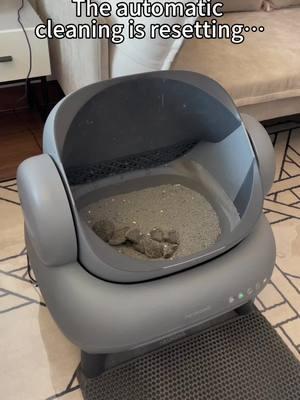 smart cat litter box Neakasa: #Smartcatlitterbox #Raisecat #cat #catlitter #clean #pet #neakasa 