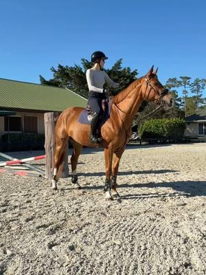 Camera crew did their best but still missed the second half of our jump practice today 🥹 #itsgreatoutdoors #horses #equestrian #showjumping #fyp 