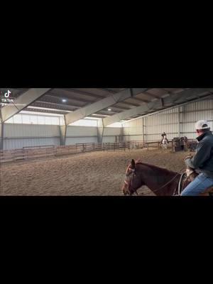 Pancake doing some work today at practice! #cowgirl #relationships #single #farmgirl #cowboy #rodeo #cowgirllife 