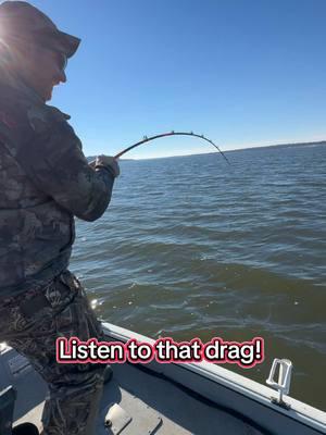 Fun winter day!! #paddlefish #spoonbill #fishtok #opg #fishing #seaarkboats #piscifunfishing #meathunterrods 