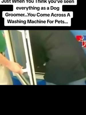 I'm sitting here wondering who thought this thing would be a good idea for pet washing? 🤔 😕 #doggroomersoftiktok #doggrooming #doggroomer #wtf 