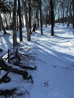 Laps at Mount snow#snowboard #mountsnow #carinthia 