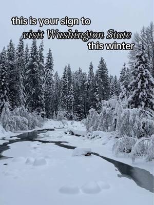 Winter is so magical, that’s why you need to add Washington State to your travel bucket list ASAP ❄️  #washingtonstate #pnwwonderland #winterdestinations #travelinspo #traveldestinations  