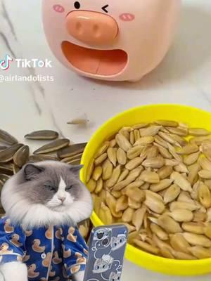 BREAKING: Sunflower seed game = forever changed! 🔄🙌 @ThatLittlePuff #SnackGoals #SunflowerSeedWizardry #GadgetGoals #SeedSensation #TikTokTrends #catlover #cats #diffuserreview #cuteanimals #petproducts#funnycat #PuffTheChef #thatlittlepuff #PuffHoliday #catsoftiktok #fyp#tiktok #foryou 