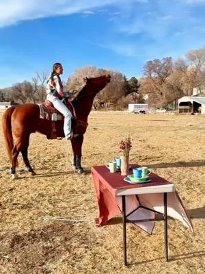 We seriously underestimated this… 🤦‍♀️🐎 It looked easy, but the ending says otherwise. 💥😂 Wait for it… and tell us how we did! 👇 #HorseChallenge #UltimateFail #TableclothPull #WaitForIt #EpicFails #HorseTok #ViralVideo #TrendingNow #WatchTilTheEnd #FailsHappen #AnimalTok #ComedyTok #ForYou #FYP #MessyChallenge #LOL #Oops #UnexpectedFails #TryAgain #DidItWork