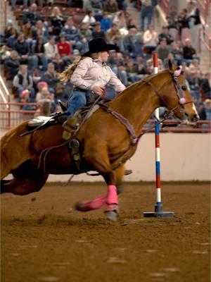 @gracyn💓 Winning Performance number 1 in the JR High Pole Benidng at the PHSRA last weekend at Pennsylvania farm show🔥 #highschoolrodeo #njhsra #nhsra #youthrodeo #polebending #blingtack #rodeophotographer #rodeovideography 