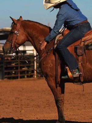 Damn Baby, Biscuit 🍞 He’s bound to bring home the bread at the jackpots. Don’t miss out on this sweet horse. Selling at Ranch Rio’s The Horse Sale in March 2025. #horsesale #ranchorio #wickenburg #teamroping 