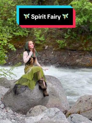 Our 🧚🏻‍♀️SPIRIT FAIRY🧚🏻‍♀️ original song music video is out now! Follow her to the river 🔗 in b i o ! #fairy #fairies #ireland #harptwins #celticmusic #spiritfairy #harp #electricharp #harptok #cottagecore #fairycore #celtic 