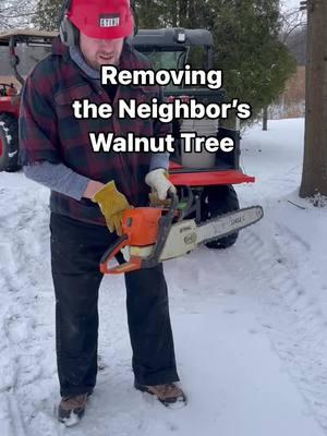 I couldn’t let this black walnut tree go to just firewood, so I cut it down and hauled it back to the woodyard to await it’s final destiny on the sawmill. #livingouramericandream #chainsaw #stihl #blackwalnut #tractor #kubota #rtv #sawmill 