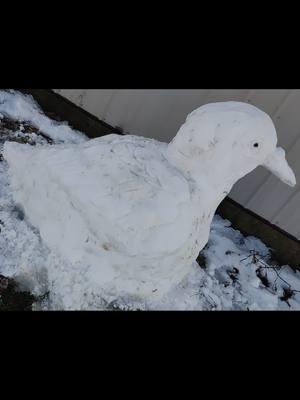 I built a snow pigeon because I didn't want to build a snowman. #winter #dailyjournal #arkansas #snow #snowfall #winterweather #winterfun #snowman #snowpigeon 