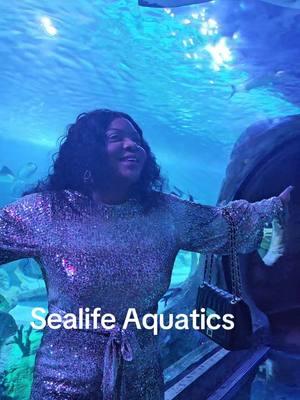 We don't have to fly nor drive hundreds of miles to the sea to enjoy the aquatic life. We had an awesome time as we explored the aquatics experience at the Sealife Grapevine, Texas. We had a great tour of 360° around the ocean. My boys were glad, many ither people also came ariund, and we all enjoyed our visit to this aquatics located inside the Grapevine mall. The tickets are in categories and reasonable. It us a nice place fir family time. Thanks to Sealife for bringing the ocean close to us in North Texas #sealife #sealifeaquarium #aquatiktok #aquarium #messy  #entertainment  #grapevine #dallas  #trending #fypシ゚viral #fypシ 