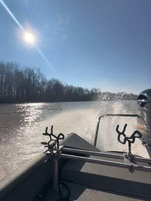 Life on the river🦌🦆 #explore #explorepage #fyp #river #riverdays #mississippi #seaarkboats #seaark #Outdoors #deer #ducks #hunting #enagement #engage 