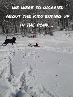 #snow #sledding #dalmatian #greaterswissmountaindog #kids #ohnonononoo 