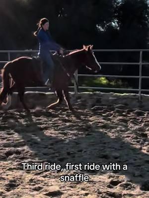 I luv her • #AQHA #Mare #cowhorse #sorrel #lazykranch #quarterhorse #barrelracer #horsetraining #barrelracing #AQHA #Mare #cowhorse #sorrel #redmare #quarterhorse #barrelracer #horsetraining #coltstarting #twoyearold #horseriding #futurityprospect 