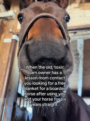 Glad I’m still on her mind….Yikes! #horsetok #horsesoftiktok #equestrian #equine #horses #ottb #midwest #offtrackthoroughbred #retiredracehorse #thoroughbred #barn #wi 