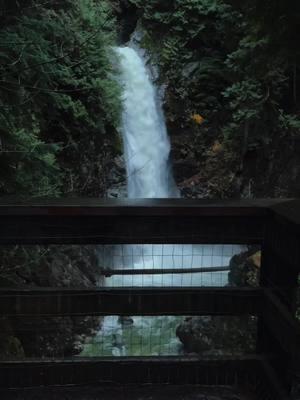 Washing away my woes  #darkaesthetic #darknaturalism #natureaesthetic #gloomy #moody #forestcore #waterfall 