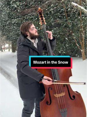 Mozart in the snow! #doublebassistsoftiktok #mozartsymphony40 #doublebass #orchestrabass #snowdays #snowingoutside #letitsnow❄️ #letitsnowletitsnow #classicalbass #classicalbassist #classicalbassplayer #bassriff 