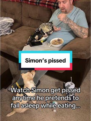 #jewelz821 #simon #dog #begging #dramatic #popcorn 