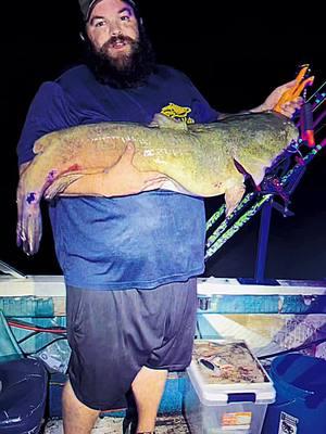 32.7lb flatty caught on live bluegill #fishtok #fyp #catfish #cumberlandriver #catfishing #catchingfish #fishing #flathead #flatheadcatfish #bluegill 