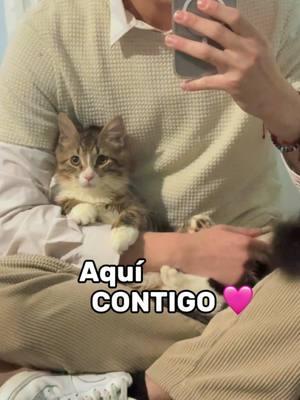 Mi corazón ❤️ #bp_kawaiiboy #zxycba #gatito #kitten #fypシ #gato #mibebe #migatito #contenido #humor #mibb 