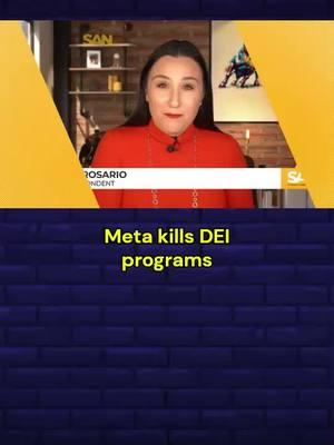 Meta kills DEI programs in its latest appeal to Trump #meta #kills #dei #programs