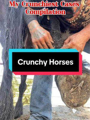 5 Crunchy Horse Trims #farrier #horse #asmr #satisfying #equine #horses #equestrian #asmrsounds #oddlysatisfying #asmrvideo #horsesoftiktok #satisfying #rescuehorses #farriersoftiktok 