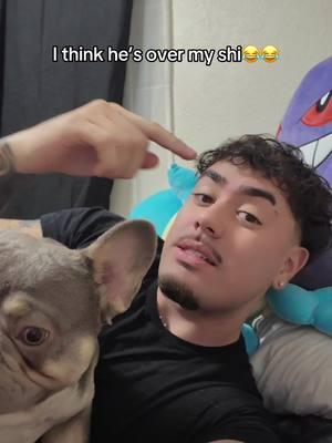 😂😂 #davidvlogz #viral #paratiiiiiiiiiiiiiiiiiiiiiiiiiiiiiii #latina #latino #niko #dog #puppytiktok 