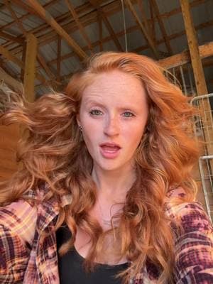 the wind was a paid actor #fyp #trend #draft #shelby #redhead #mylife #country #viral #fastestthingaround #blueeyes #foryou #trendy #drafts #ohio #redhair #western #blowthisup #hotterthanatwodollarpositol #wind #paidactor #freckles #trending #happy 