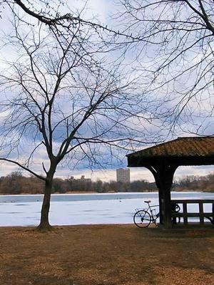 #frozenlake #winter #frozen #snow #lake #nature #naturephotography  #ice #winterwonderland #naturelovers #cold #NYC #ayfaclix #fm #music #nothingbutyou #zoewees #enjoymusic #fyp #enjoylife #stayhappy #💙 #❤️ #🧡 #🥰 #✌️ #🥶 #❄️ #🧊 