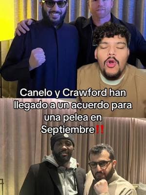 #greenscreen #boxeo #canelo #crawford #turki #paratiiii 