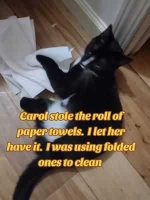 Carol is making cleaning a challenge.  I love you all and would miss you if the app is banned. I am on other platforms but can email videos and updates directly ♡ #nomoresadkitties 