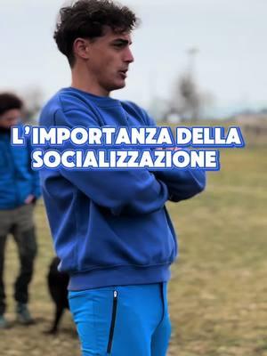 L'importanza della comunicazione! 🐕👥 - Estratto di una lezione! Nel video di oggi, ti mostro con esempi pratici perché la comunicazione in branco è fondamentale per i nostri amici a 4 zampe. Guarda fino alla fine per approfondire e scrivi nei commenti cosa ne pensi sull’argomento! Non dimenticare di mettere un like e seguirmi per altri consigli utili! #educazionecinofila #doglovers #puppylove #canecorso #DogTraining #likе #fyp #foryoupage❤️❤️ #viral_video #viralvideos #imparaconTikTok #whattowatch #comportamento