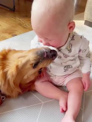 Love is the only thing that exists between them#Funy #dog #babylove #loveyou #animal #dog and baby