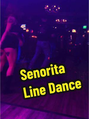 #fyp #senorita #senoritalinedance 