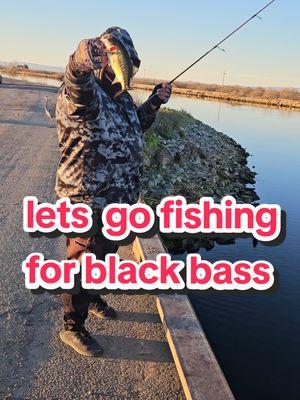 @bassproshops @Bassmaster @BASS FISHING BASICS @🇺🇸 FISHING TIKTOKS @bluegillfisherman @40 inch blue gill @Panfish Slayers @Panfish Nation @UglyStik @PANfish_official #catchandrelease #fishing #fishinglife #fisherman #fishtok #fishing #fish #bass #blackbass #bassfishing #bluegill #bluegillfishing #panfish 