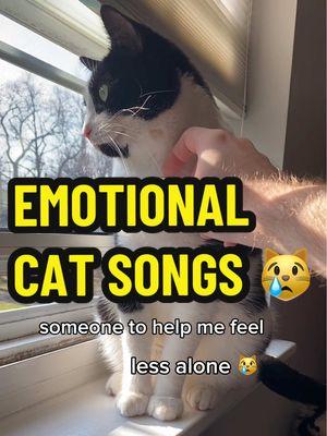 EMOTIONAL CAT SONGS. 😿 (3 more throwbacks for the end 🖤) #emotionalcatsongs #catsongs #smartestcatintheworld 