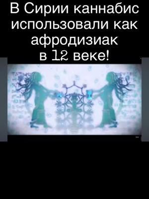 В 12 веке в Сирии использовали каннабис как афродизиак #каннабидиол #эндоканнабиноиды #cbd #кубань #краснодар #польза #россия #здоровье 