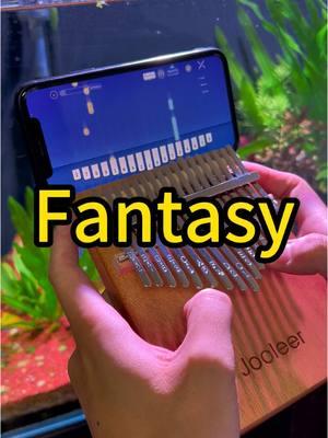 Fantasy Meiko Nakahara  #kalimba #Jooleerkalimba  #thumbpiano #Jooleermusic #kalimbacover