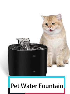 #catwaterfountain #pethydration #cathealth #petcare #felinelife 