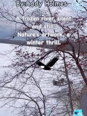 A frozen river, silent and still,  Nature’s artwork, a winter thrill.  Crystal paths where ice takes hold,  A shimmering story quietly told.  In the hush of winter’s embrace,  The river sleeps in its icy case.  Yet beneath the frosty cover,  Life awaits the thaw to discover.  A scene of beauty, cold and bright,  A frozen river, a wondrous sight.  In the chill, dreams flow unseen,  In this icy world, serene.  #frozenriver #ice #influencer #fyp #foryoupage💙 #explorepage #foryou #pov #pvln #pvlnmusic #pvlnfans #viralreels #viralmusic #trendingreels@trending videos @Life @poetryoftiktok @PVLN #pvln #pvlnfans #pvlnmusic 