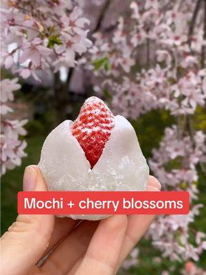 Mochi and cherry blossoms? Sounds like the perfect combo 🍓 🌺 🇯🇵 (@Adele Collette ) #japan #cherryblossom #sakura #mochi #sushi 